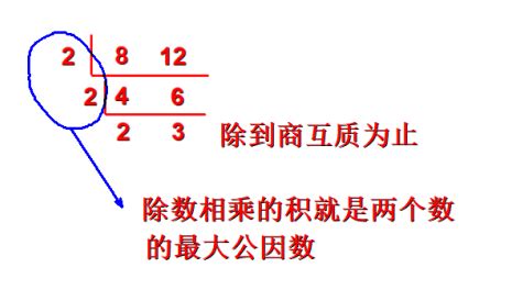 51和68的公因數|最大公因数计算器